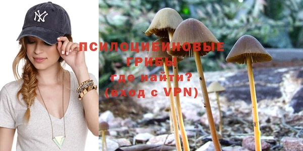 мяу мяу мука Беломорск