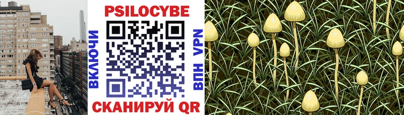Галлюциногенные грибы GOLDEN TEACHER Нелидово